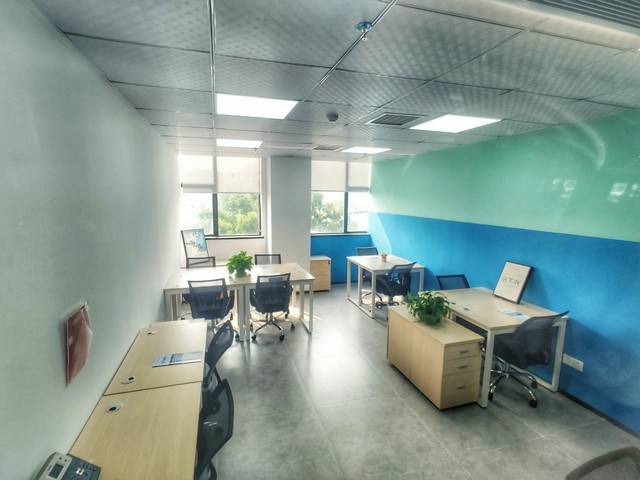 常州进口纸浆模塑